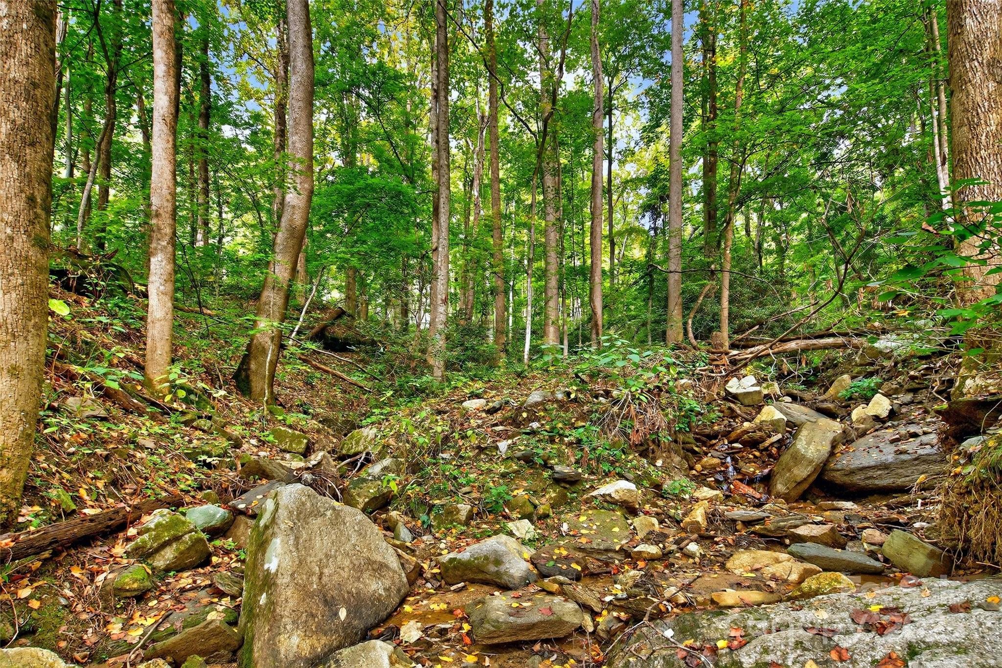 99999 Rocky Branch Trail Marion NC 28752
