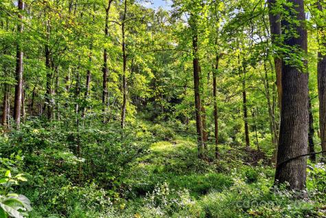 99999 Rocky Branch Trail Marion NC 28752