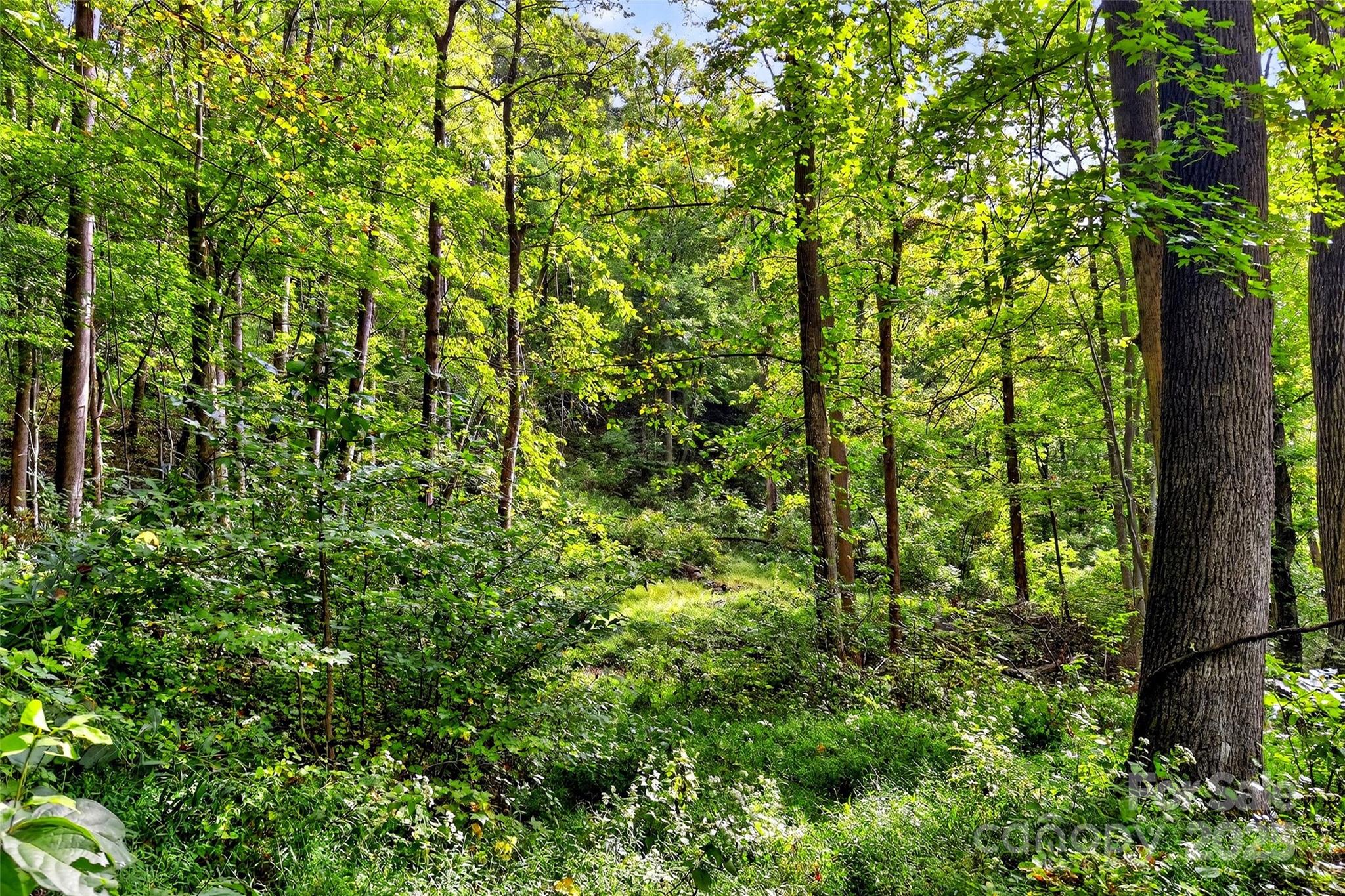 99999 Rocky Branch Trail Marion NC 28752