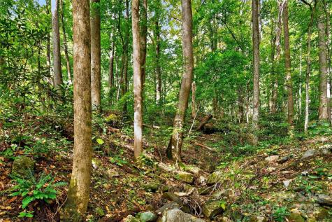 99999 Rocky Branch Trail Marion NC 28752