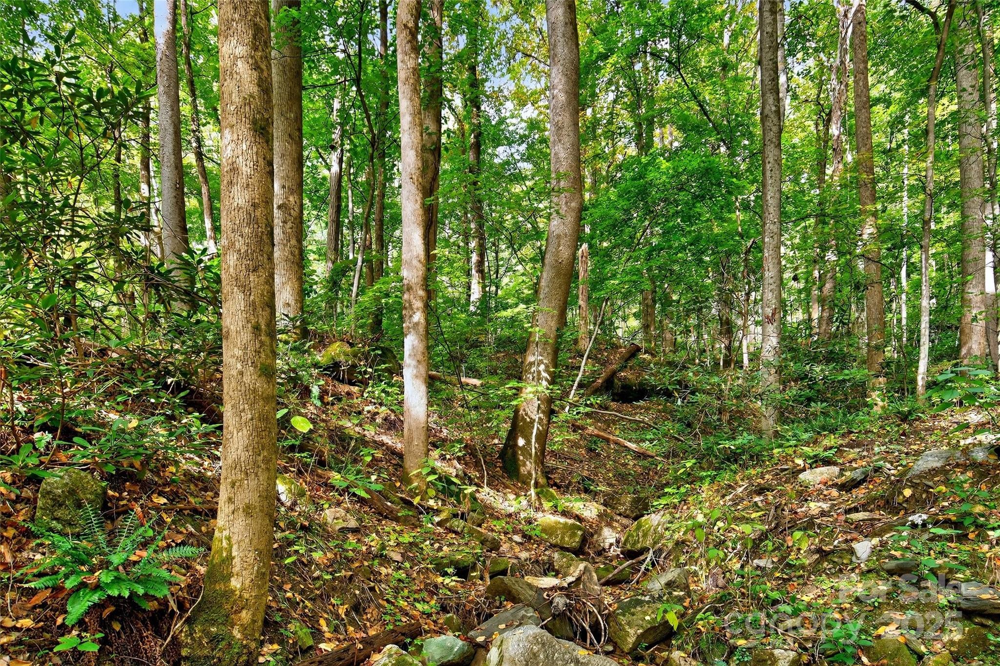 99999 Rocky Branch Trail Marion NC 28752