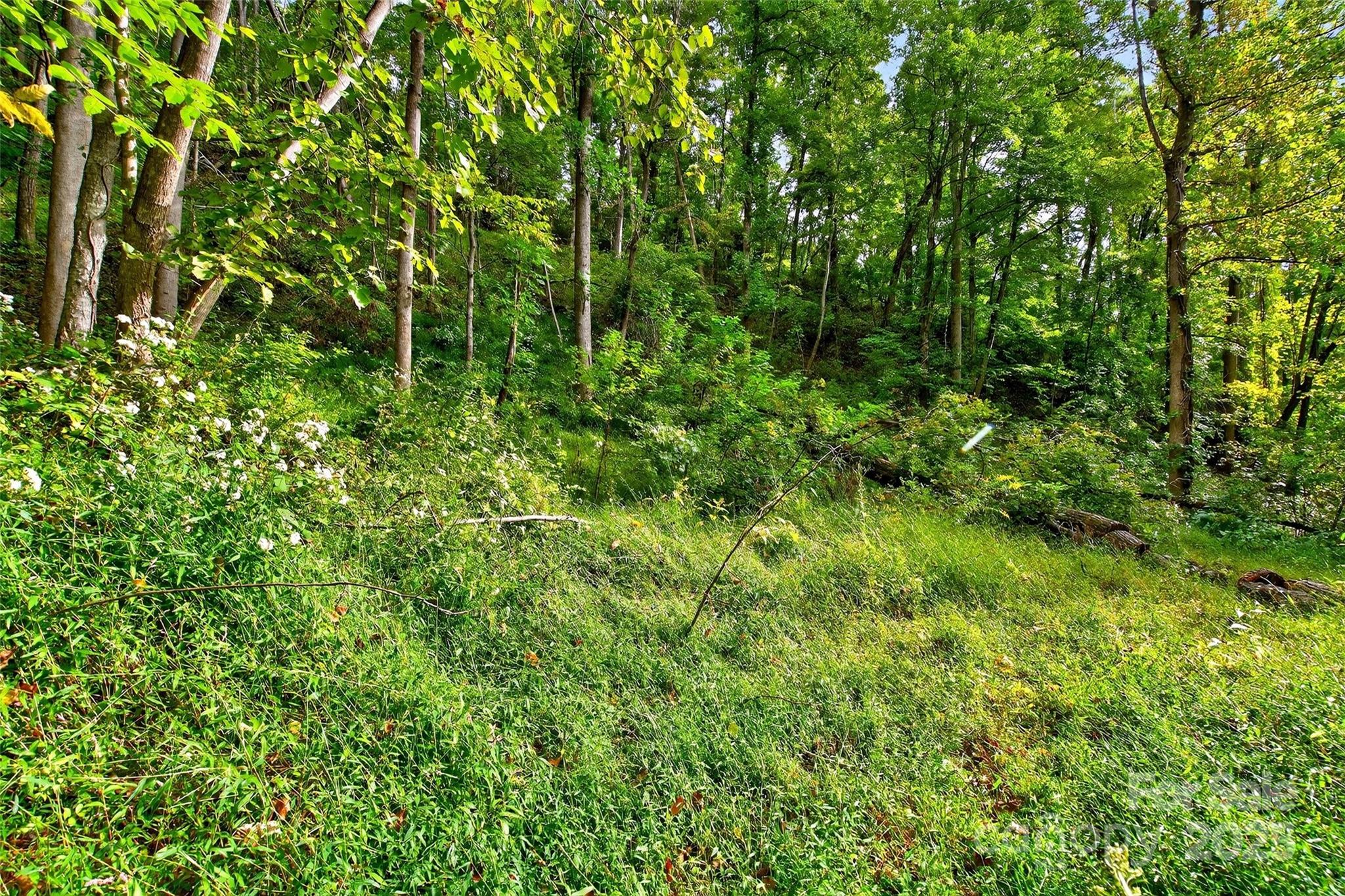 99999 Rocky Branch Trail Marion NC 28752