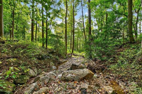 99999 Rocky Branch Trail Marion NC 28752