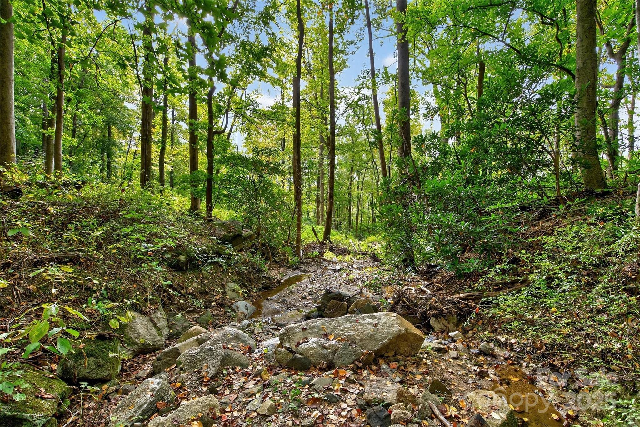 99999 Rocky Branch Trail Marion NC 28752