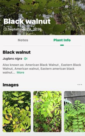 99999 Rocky Branch Trail Marion NC 28752
