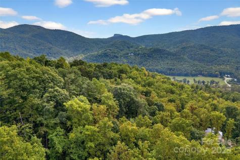 99999 Rocky Branch Trail Marion NC 28752