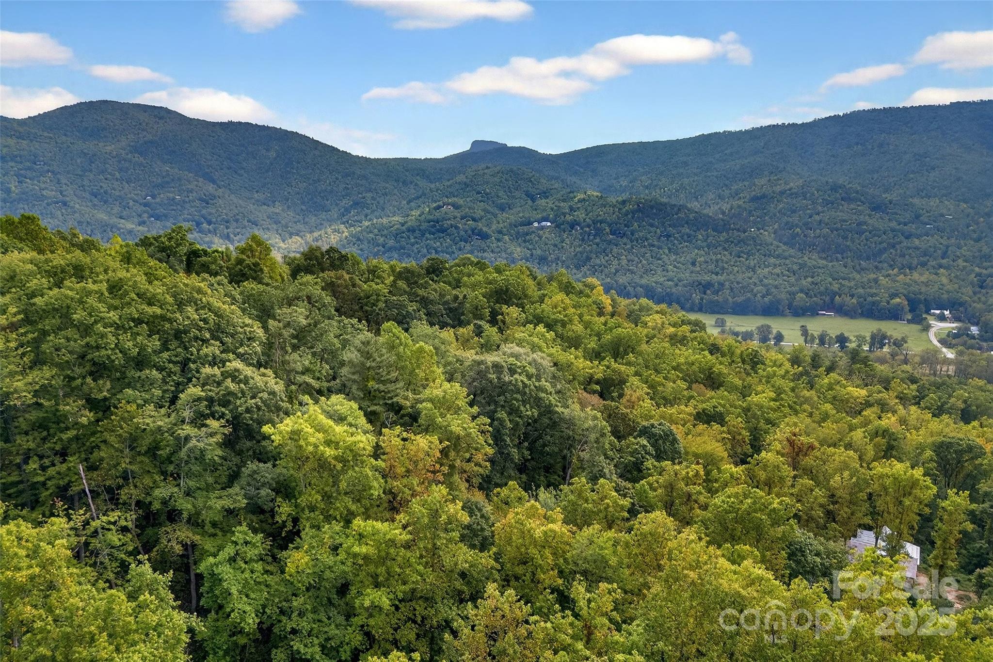 99999 Rocky Branch Trail Marion NC 28752
