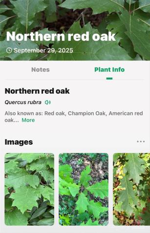 99999 Rocky Branch Trail Marion NC 28752