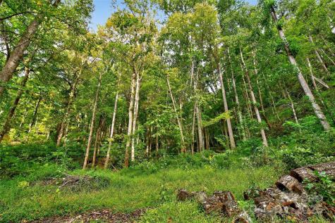 99999 Rocky Branch Trail Marion NC 28752