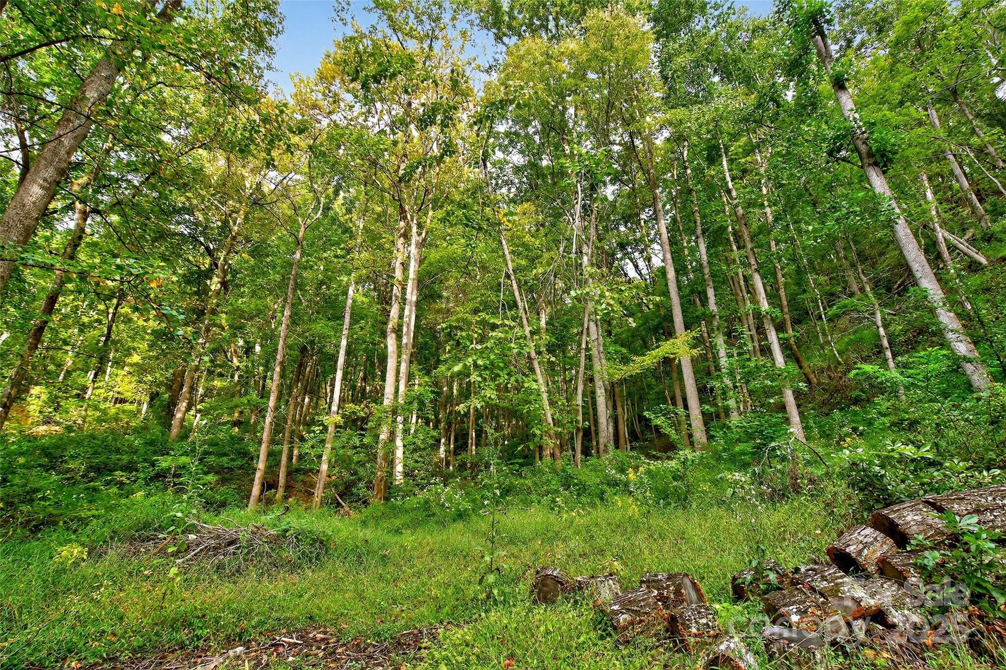 99999 Rocky Branch Trail Marion NC 28752