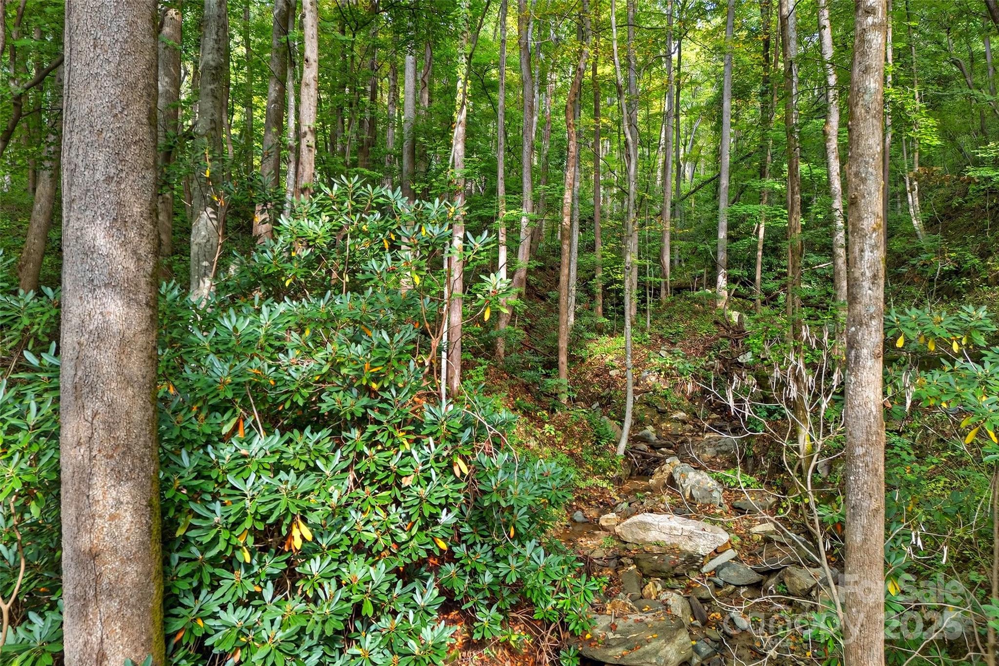 99999 Rocky Branch Trail Marion NC 28752