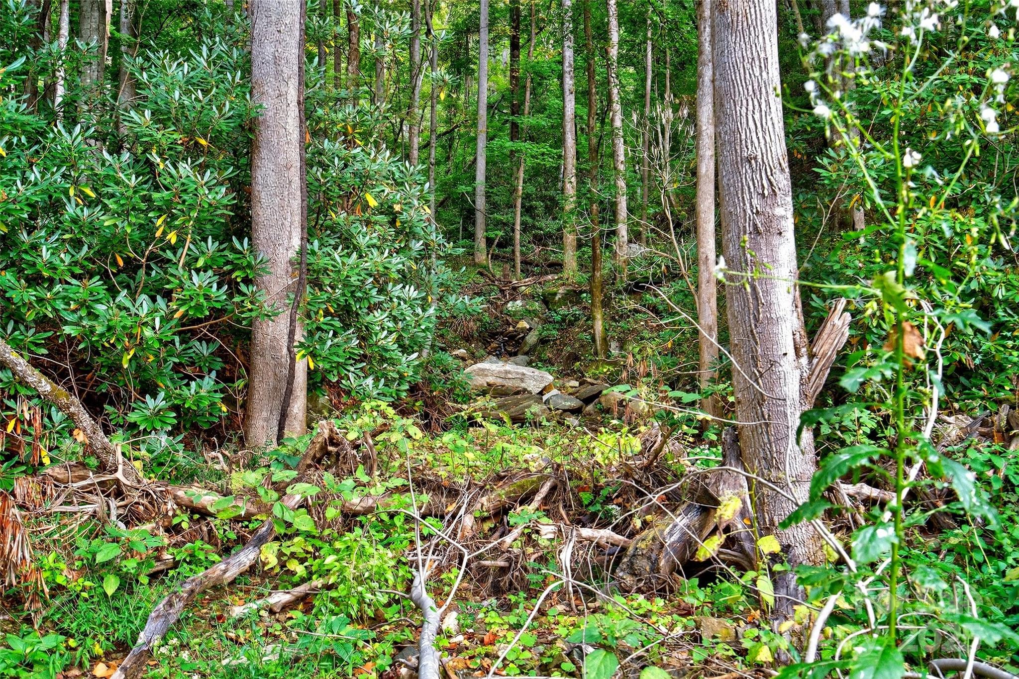 99999 Rocky Branch Trail Marion NC 28752