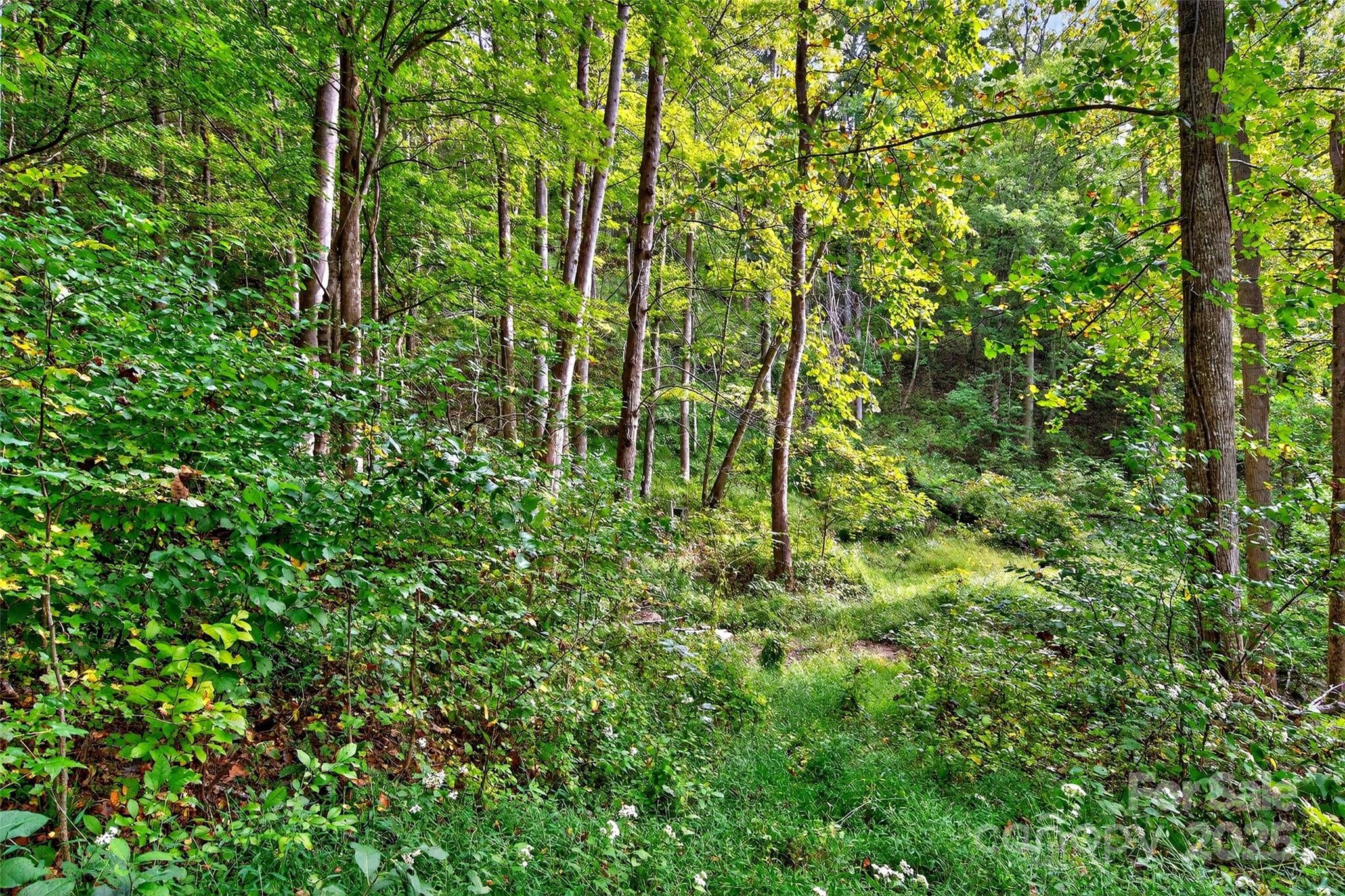 99999 Rocky Branch Trail Marion NC 28752
