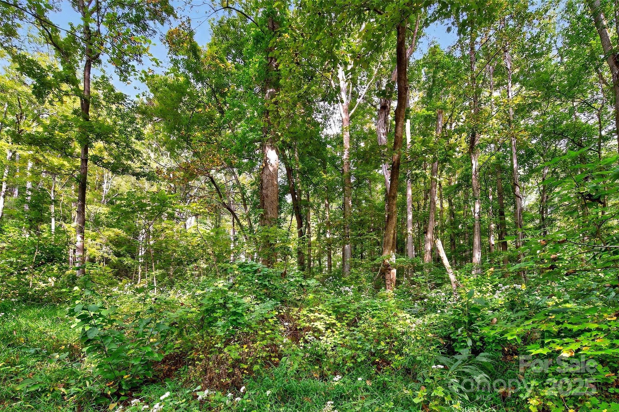 99999 Rocky Branch Trail Marion NC 28752