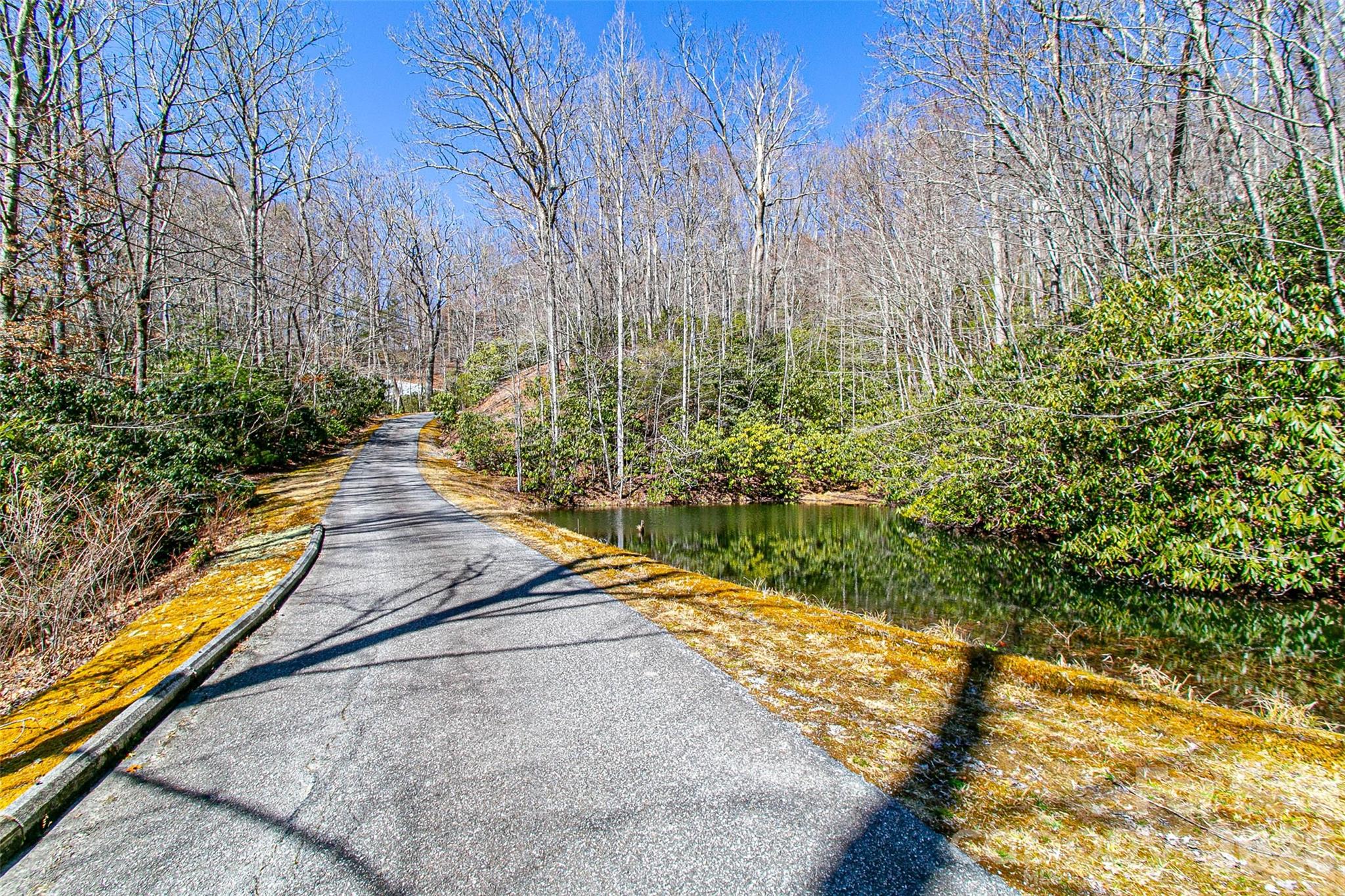 Tbd Still Branch Road Brevard NC 28712