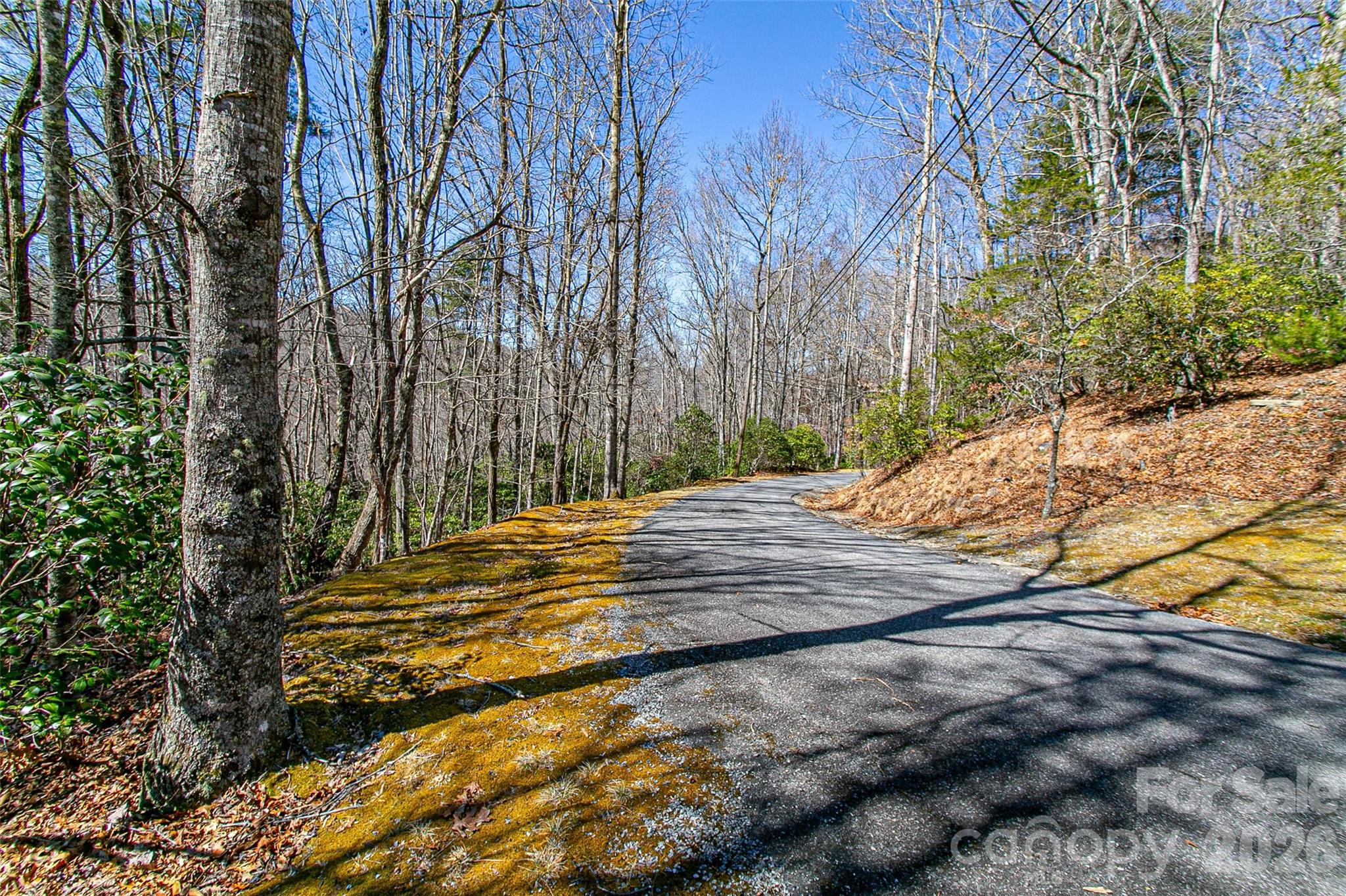 Tbd Still Branch Road Brevard NC 28712