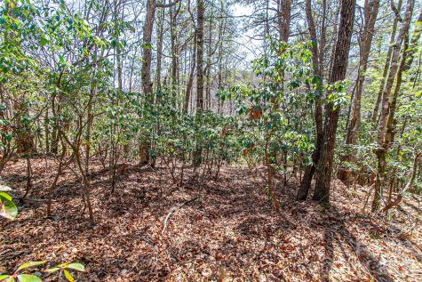 Tbd Still Branch Road Brevard NC 28712