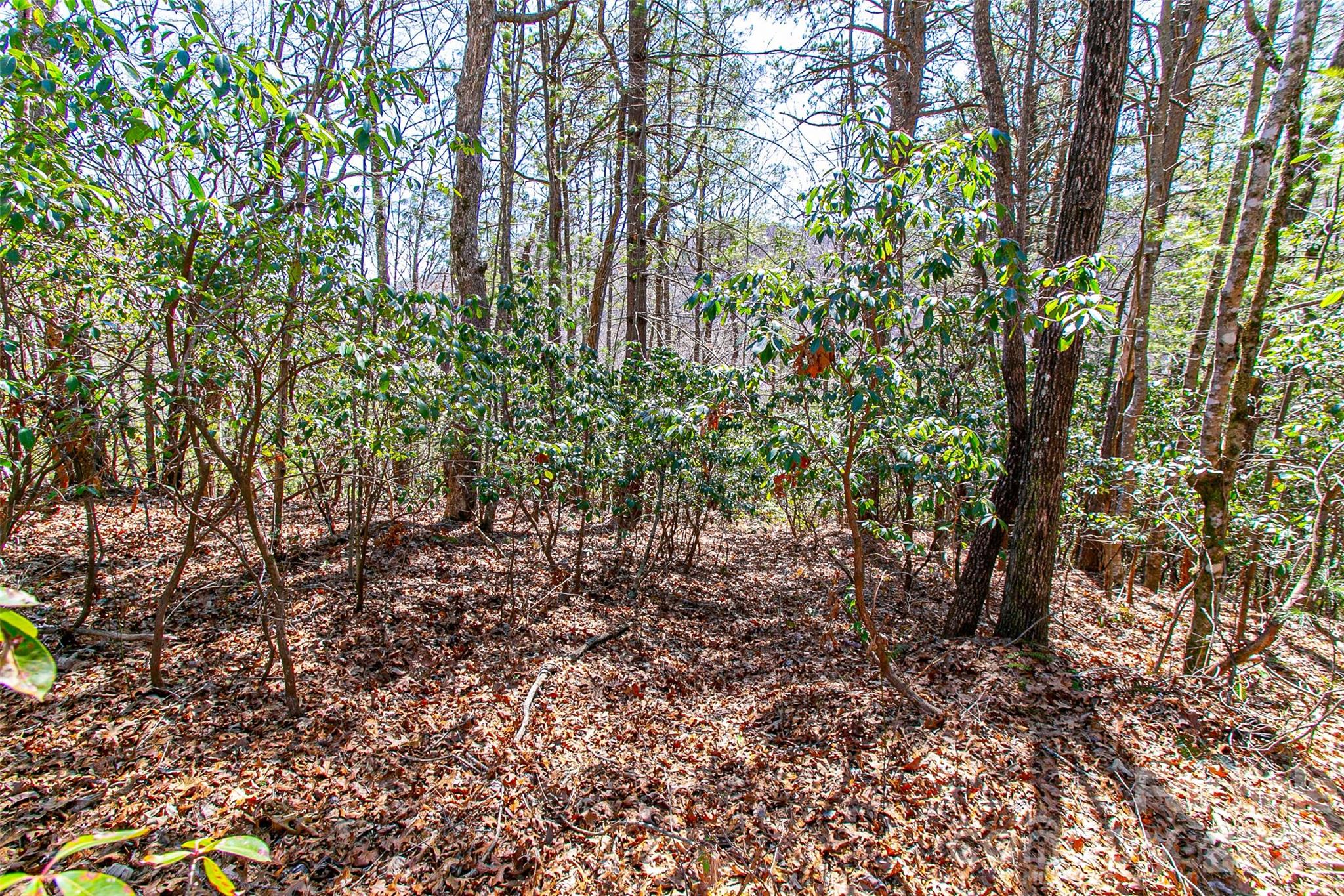 Tbd Still Branch Road Brevard NC 28712