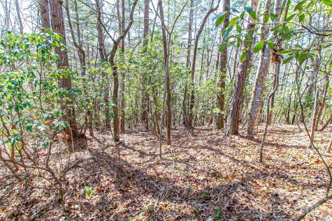 Tbd Still Branch Road Brevard NC 28712