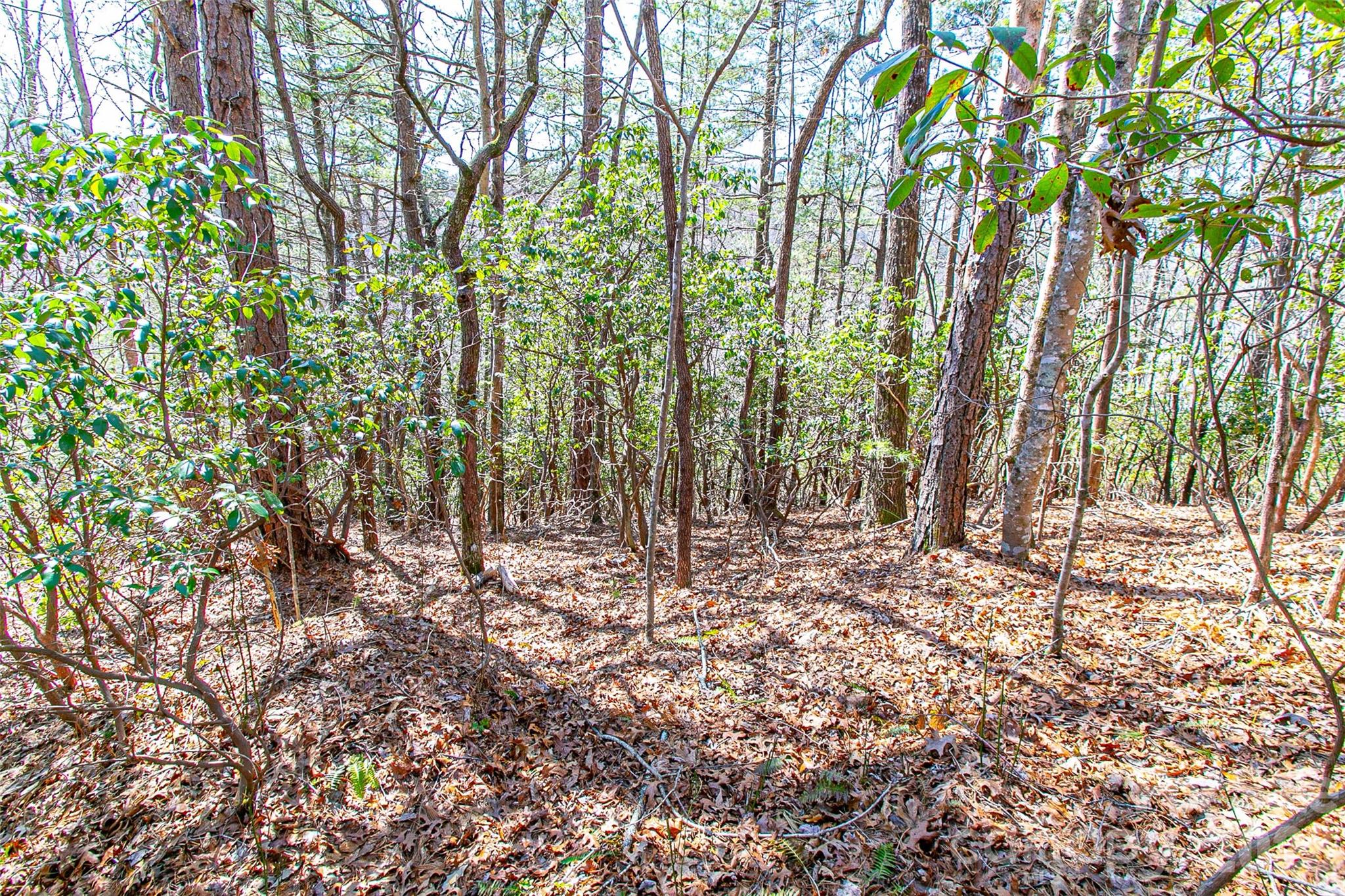Tbd Still Branch Road Brevard NC 28712