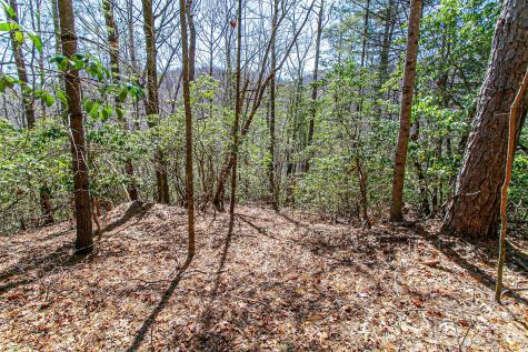 Tbd Still Branch Road Brevard NC 28712