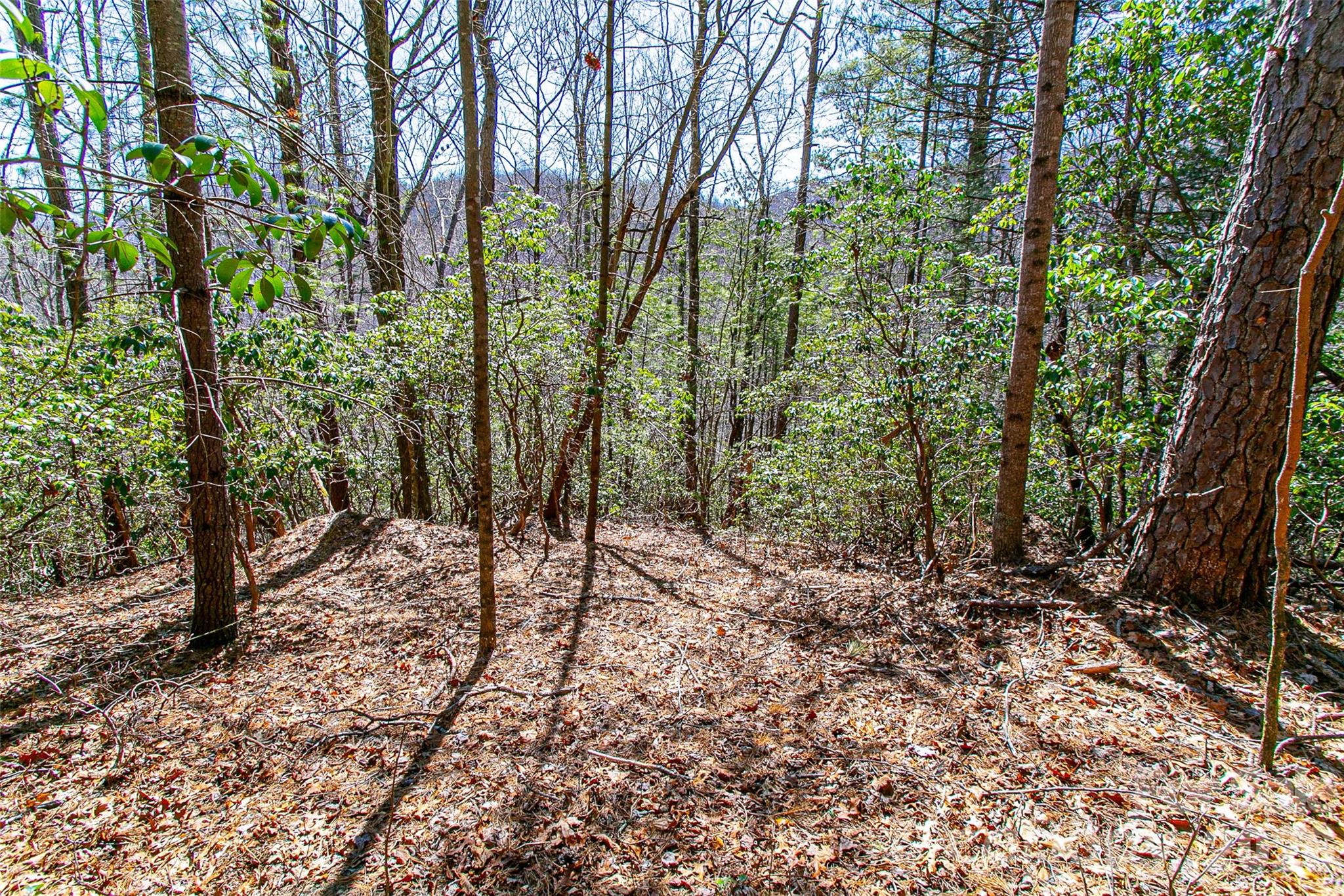 Tbd Still Branch Road Brevard NC 28712
