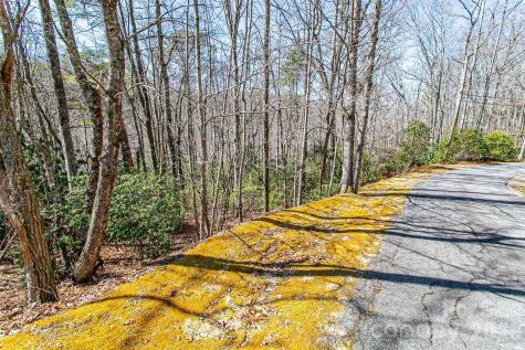 Tbd Still Branch Road Brevard NC 28712