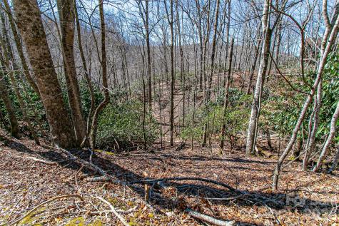 Tbd Still Branch Road Brevard NC 28712