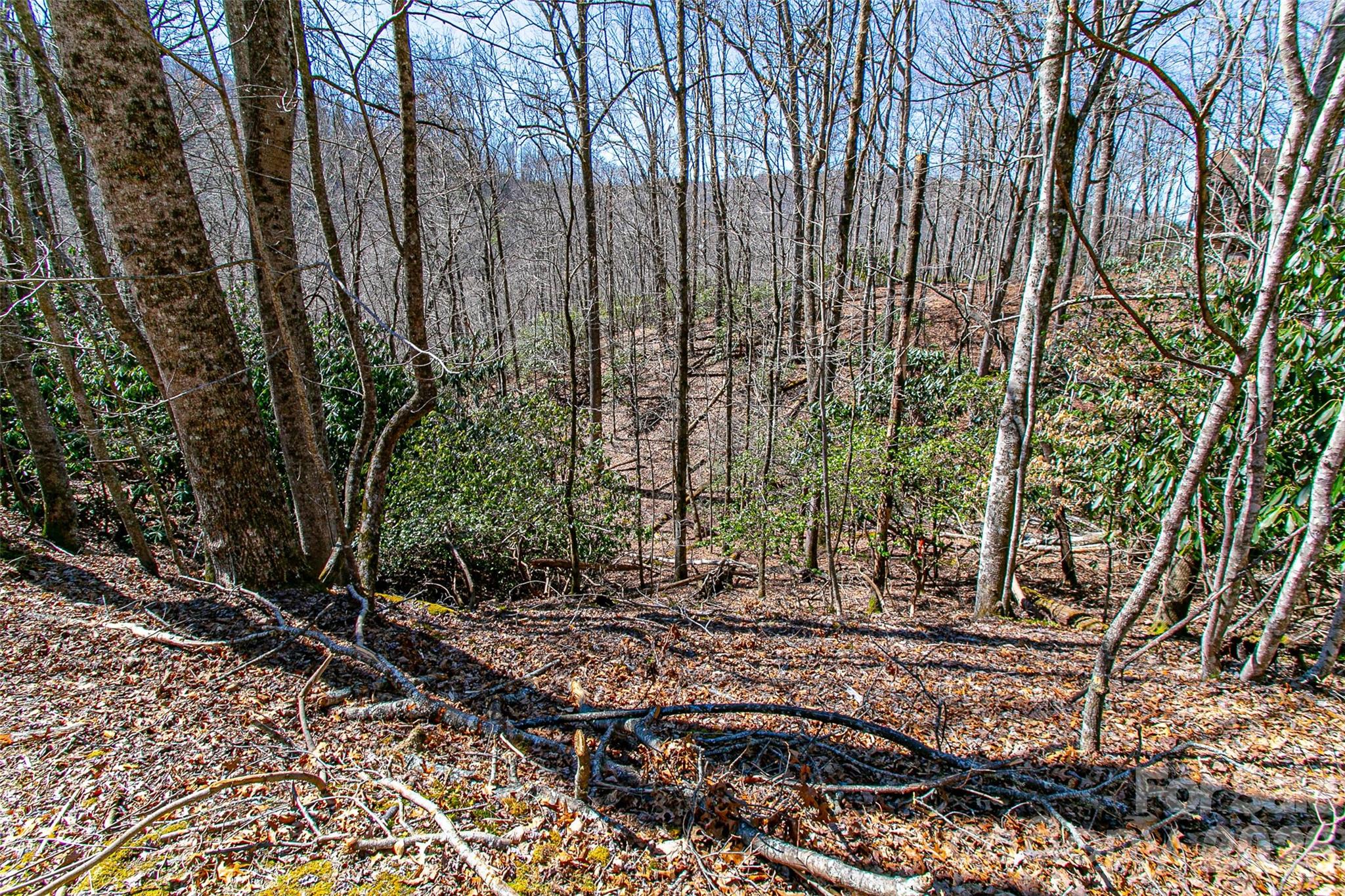 Tbd Still Branch Road Brevard NC 28712