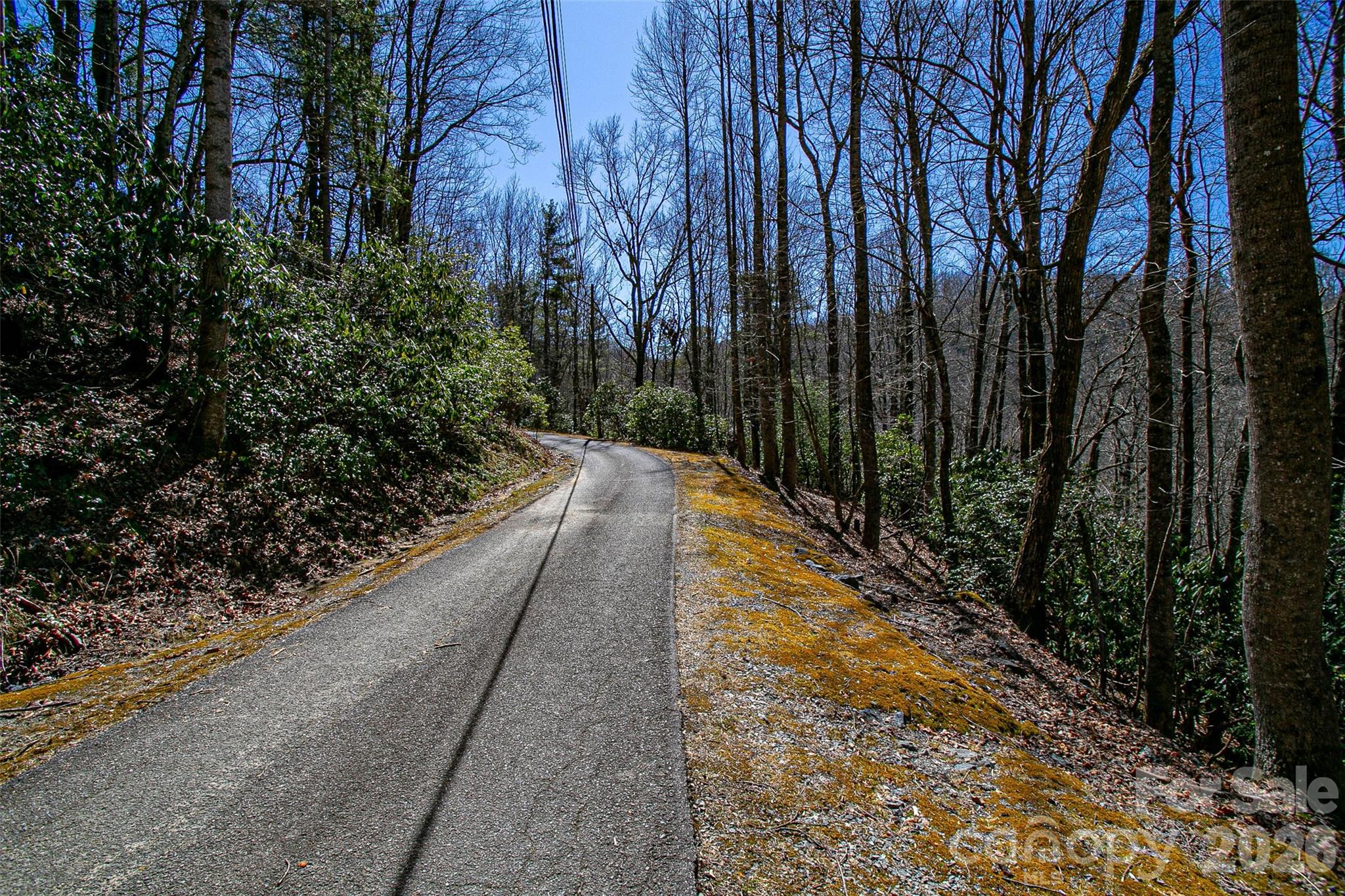 Tbd Still Branch Road Brevard NC 28712