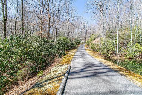 Tbd Still Branch Road Brevard NC 28712