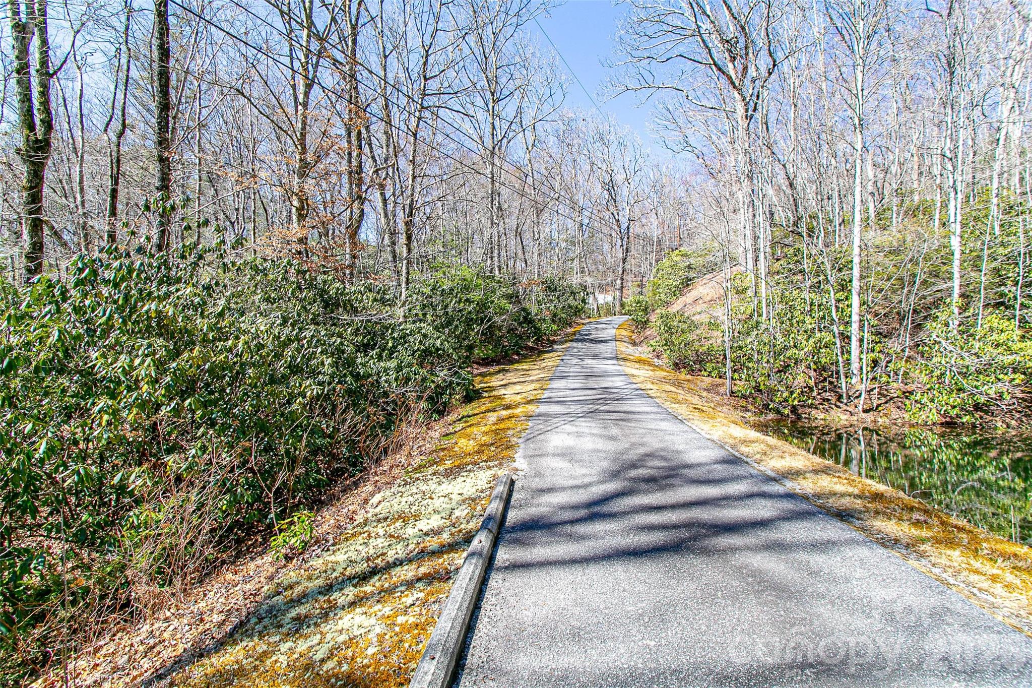 Tbd Still Branch Road Brevard NC 28712