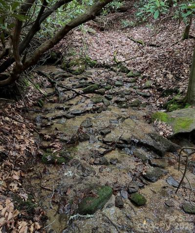 Tbd Still Branch Road Brevard NC 28712