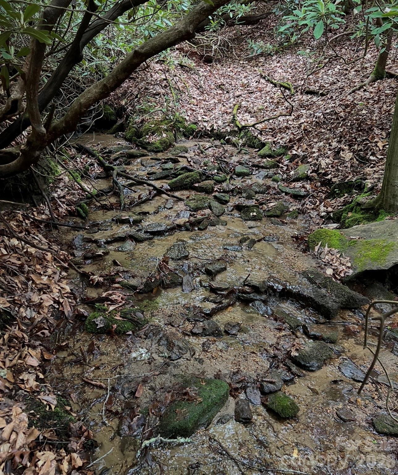 Tbd Still Branch Road Brevard NC 28712