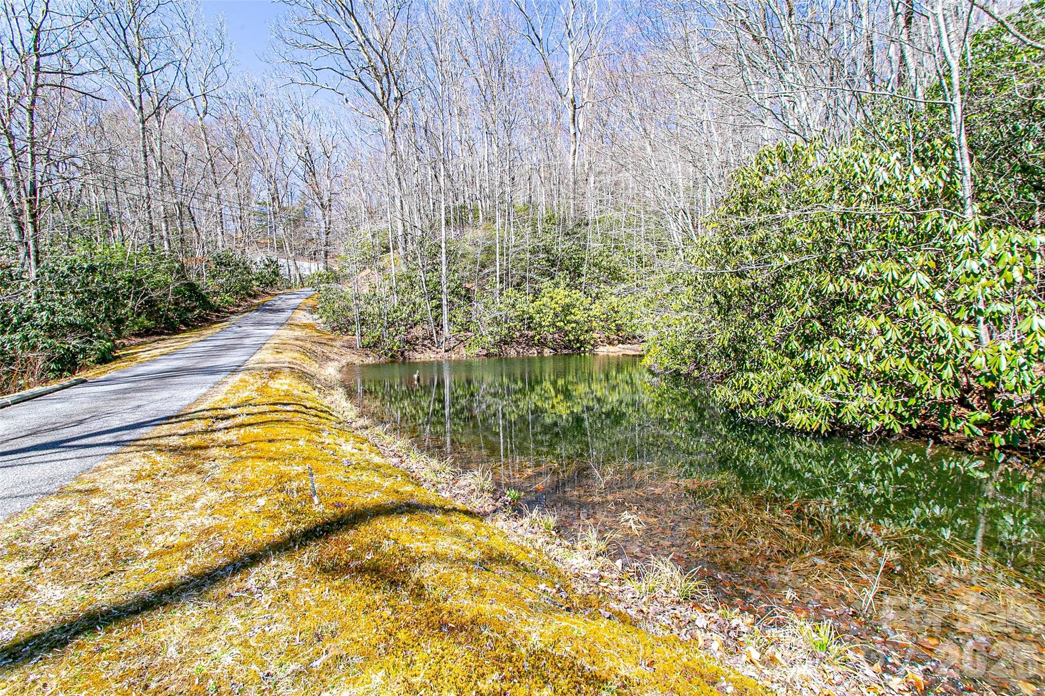 Tbd Still Branch Road Brevard NC 28712
