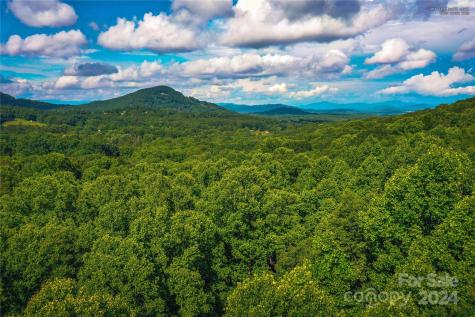 240 Smokemont Drive Arden NC 28704