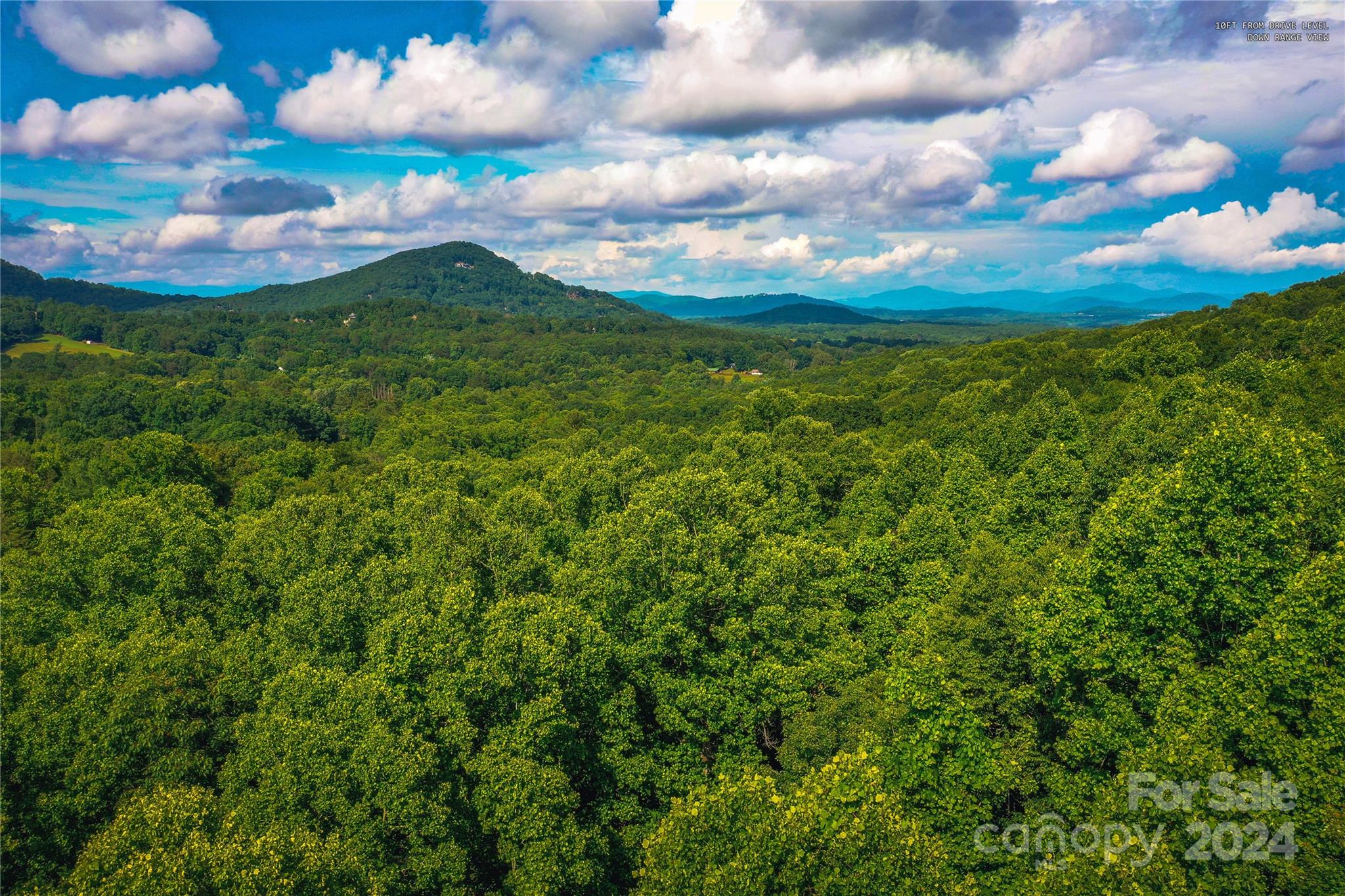 240 Smokemont Drive Arden NC 28704