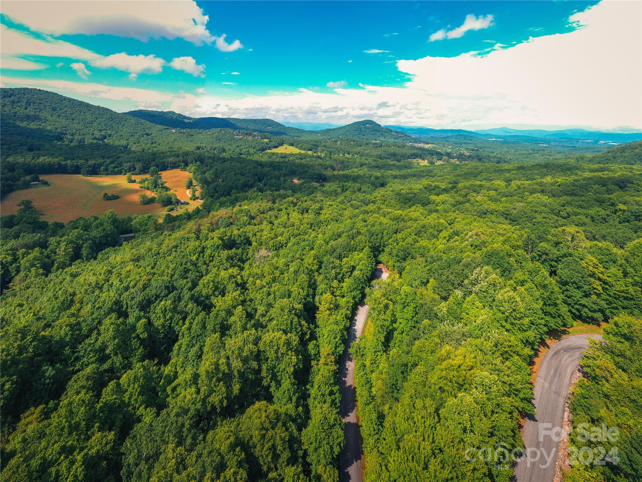 240 Smokemont Drive Arden NC 28704