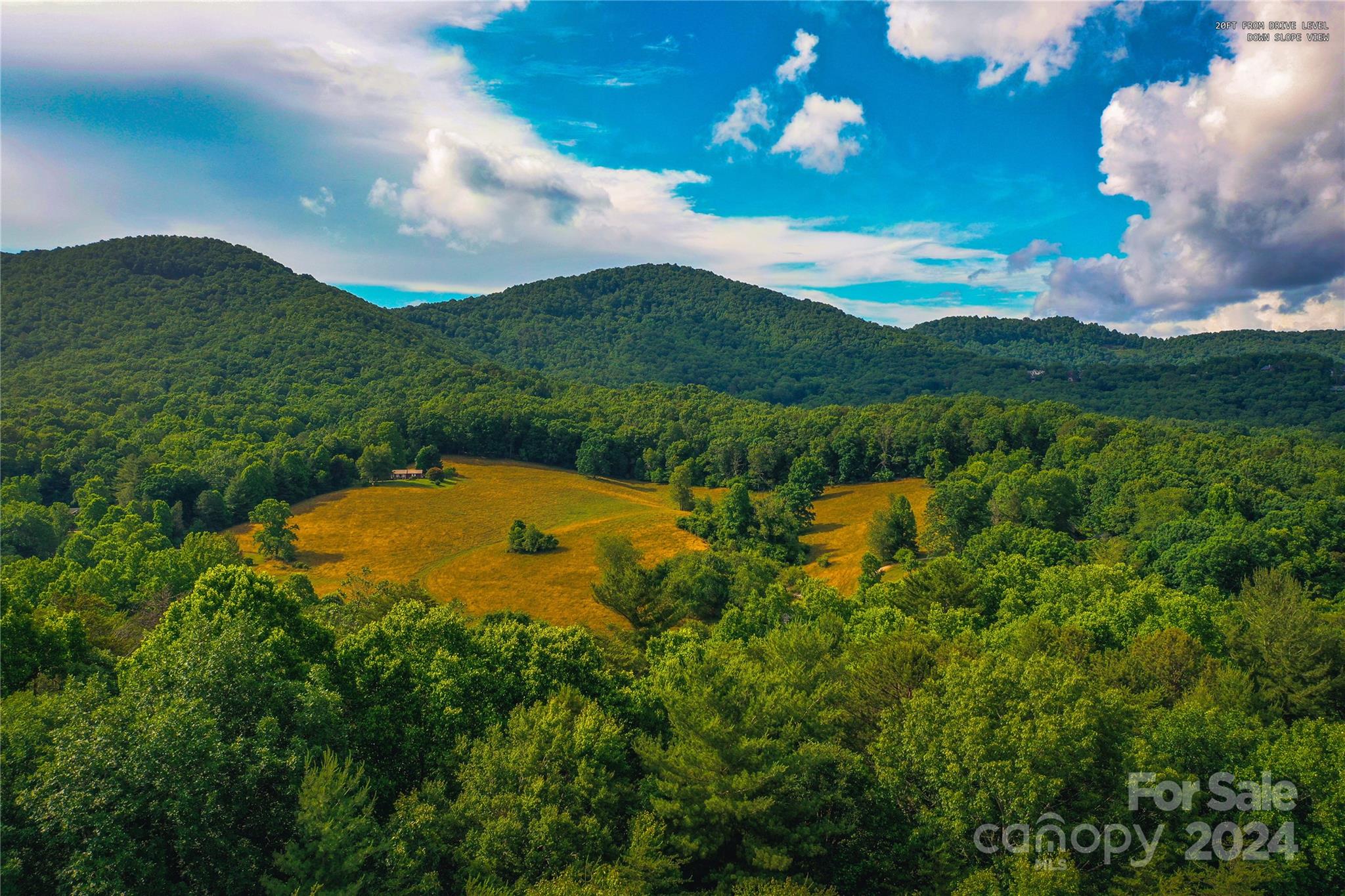 240 Smokemont Drive Arden NC 28704