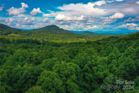 240 Smokemont Drive Arden NC 28704
