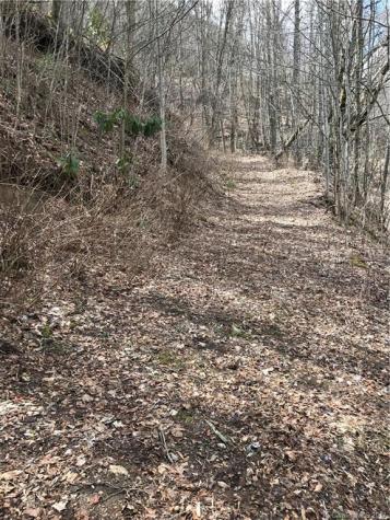 Lot 5 Section 10 Julalbo Road Whittier NC 28789