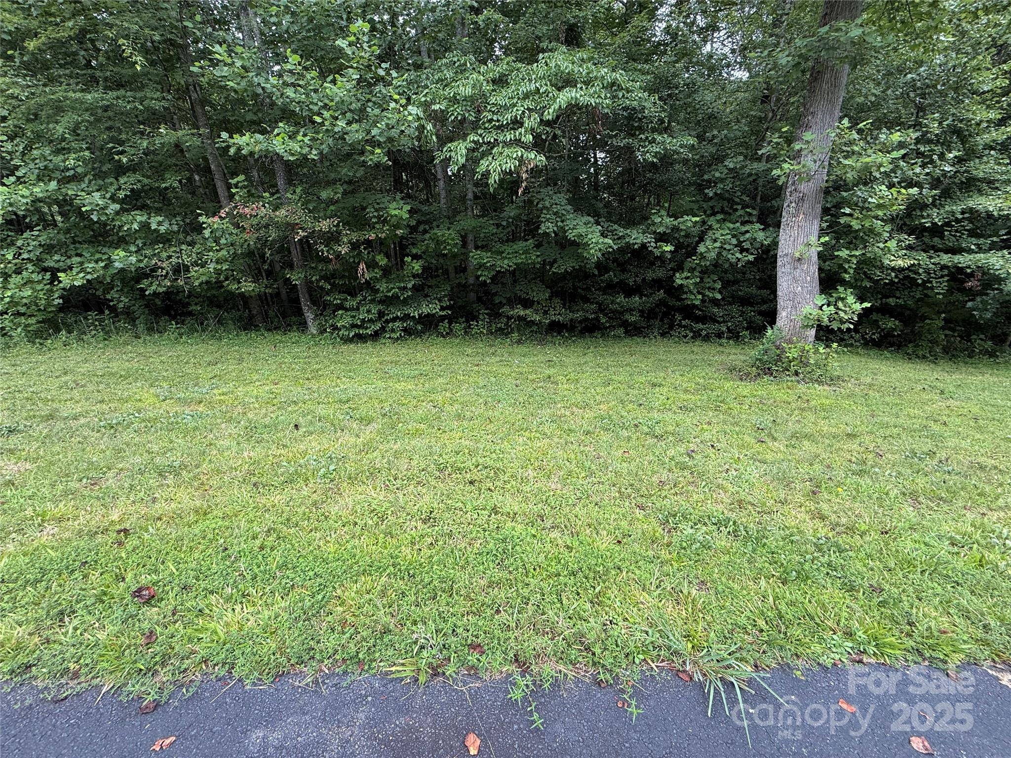 Lot 24 Zinzendorf Lane Moravian Falls NC 28654