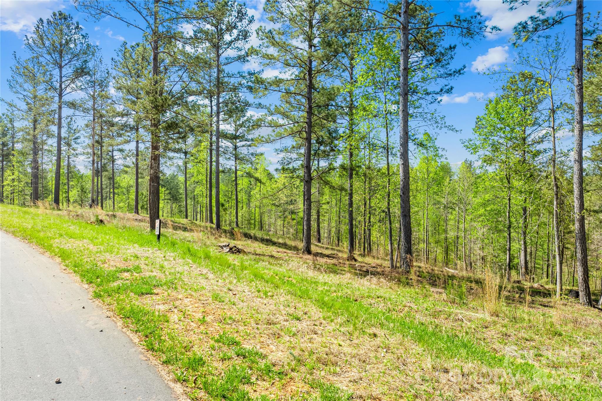 2106 Snowmass Drive Connelly Springs NC 28612