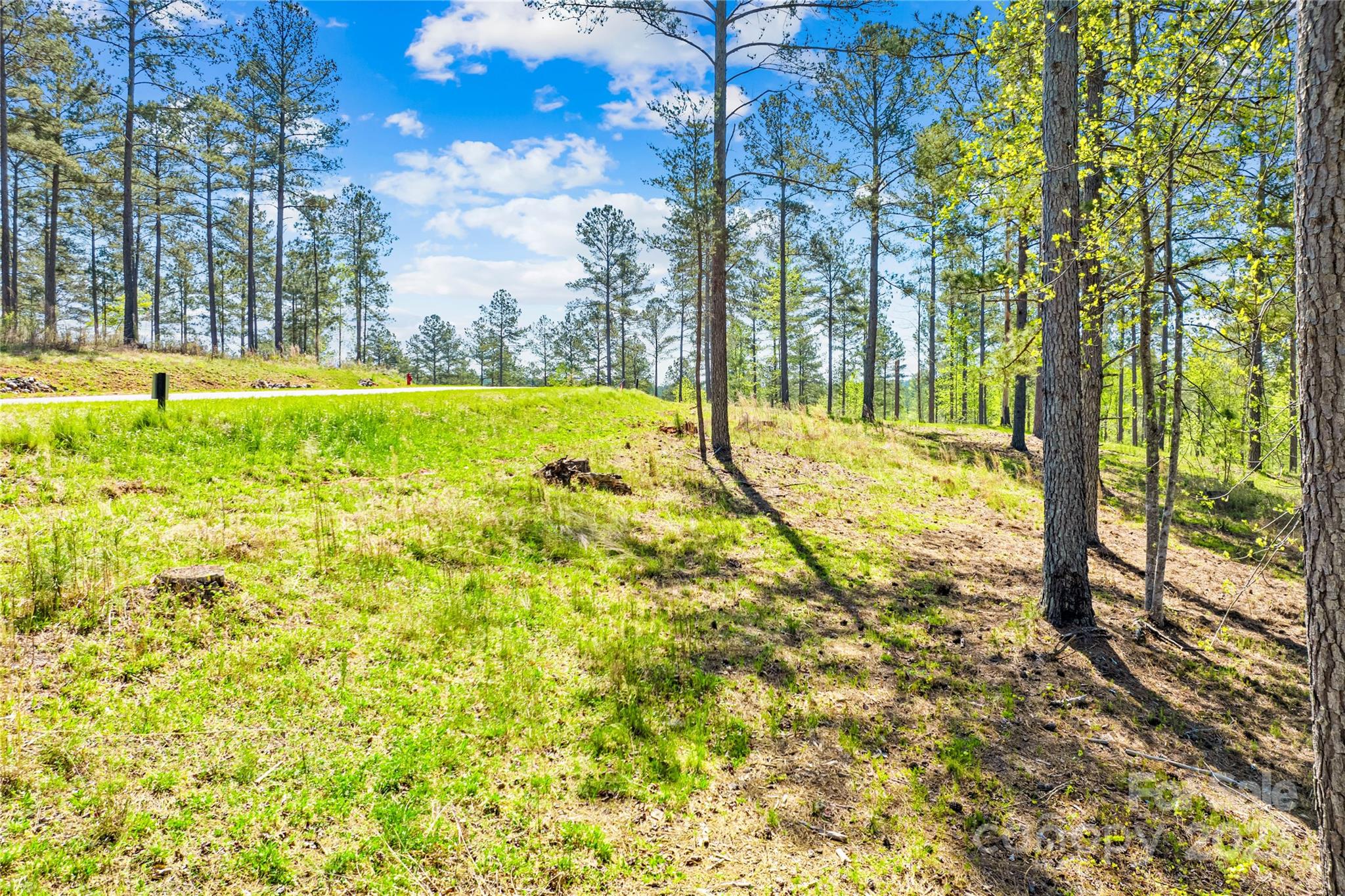 2106 Snowmass Drive Connelly Springs NC 28612