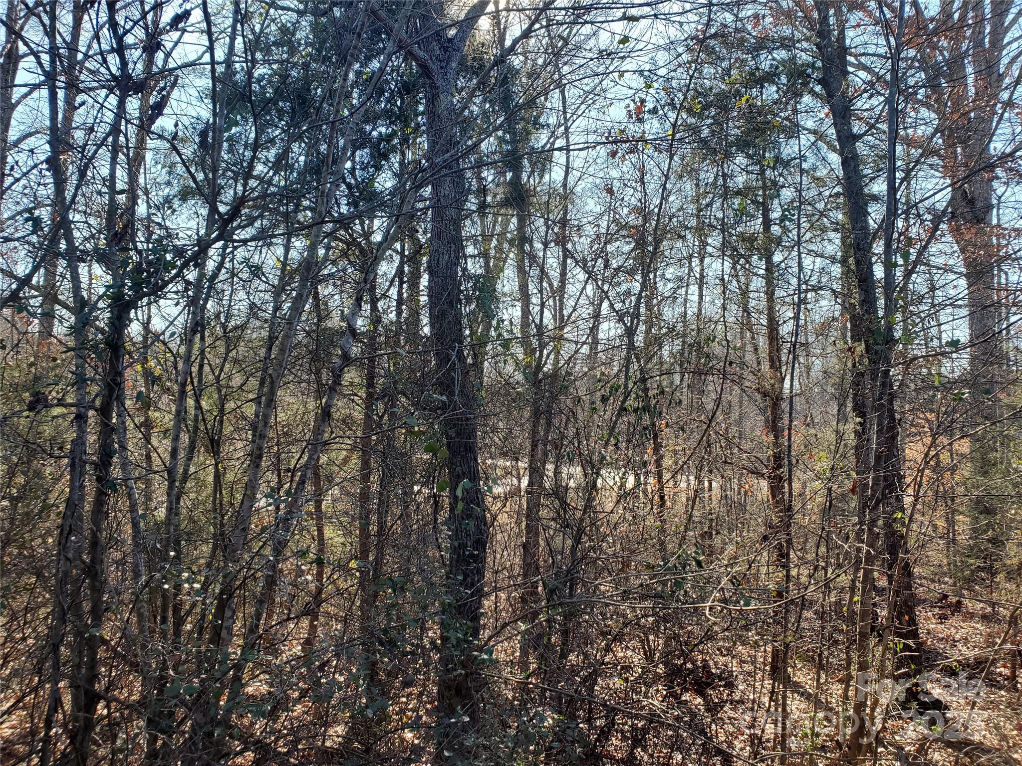 5125 Longbrooke Court Indian Land SC 29707