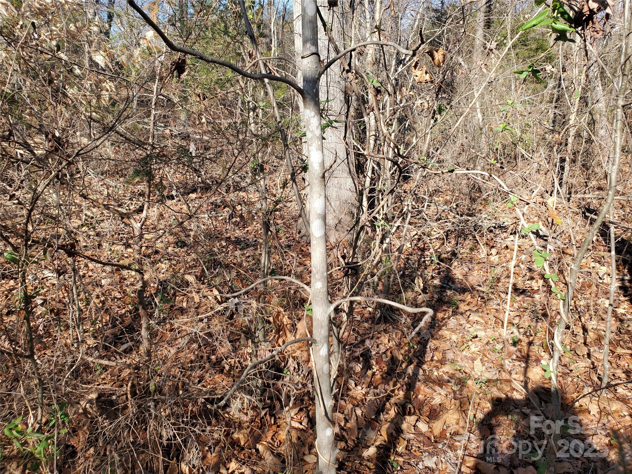 5125 Longbrooke Court Indian Land SC 29707