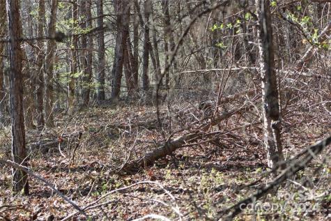 Lot 30 Laurel Valley Drive Marion NC 28752