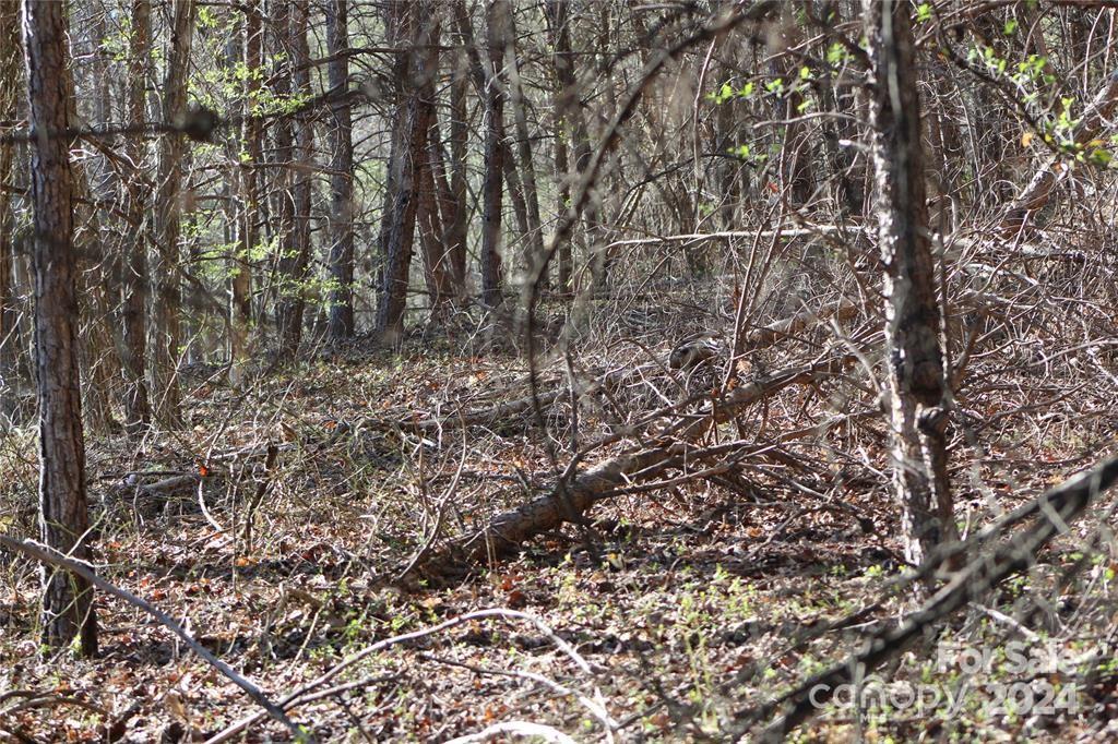 Lot 30 Laurel Valley Drive Marion NC 28752