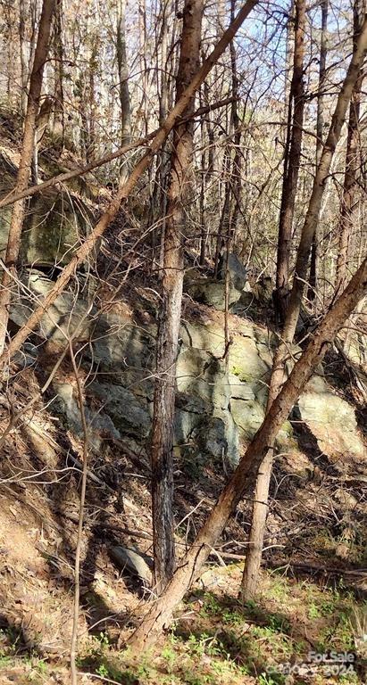 Lot 30 Laurel Valley Drive Marion NC 28752