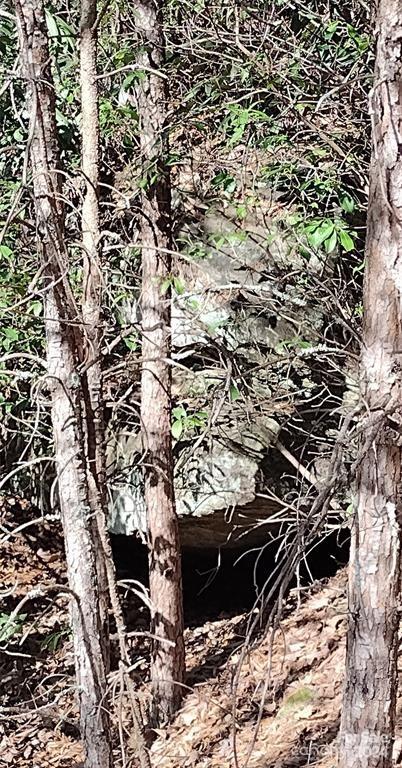 Lot 30 Laurel Valley Drive Marion NC 28752